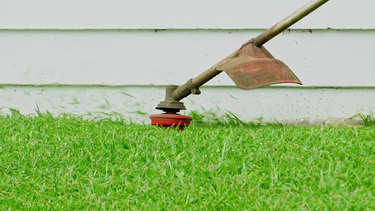 Best Pest Control for Lawns  in Moreland, ID