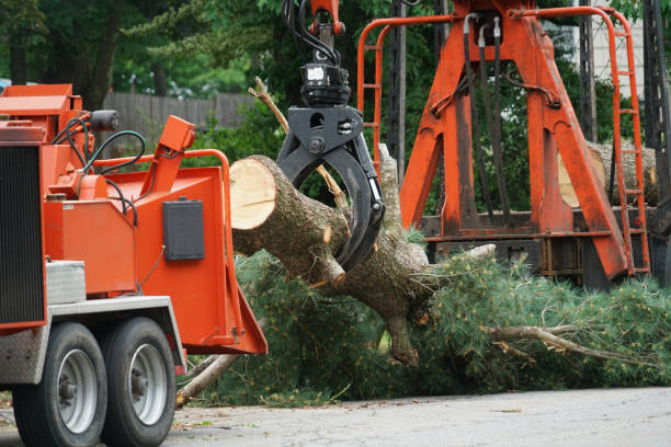 Best Lawn Grading and Leveling  in Moreland, ID